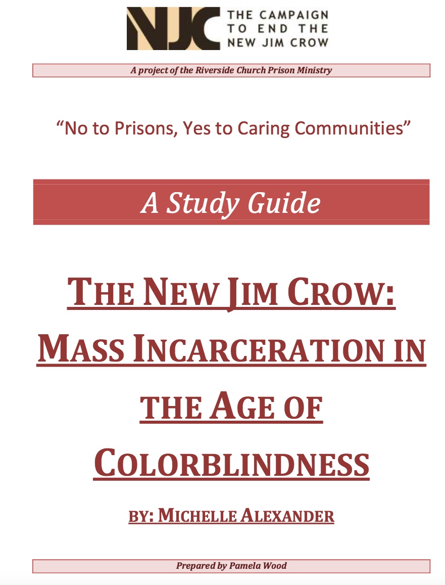 thesis of the new jim crow